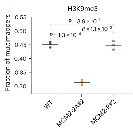 Open access visualization of Scatter Plot, Multimapping Reads, H3K9me3 ChIP-seq, Biological Replicates