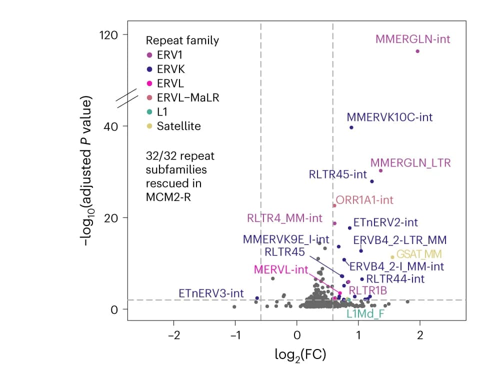 Open access visualization of Volcano Plot, Scatter Plot, Repeat Expression, Repeat Family, Biological Replicates
