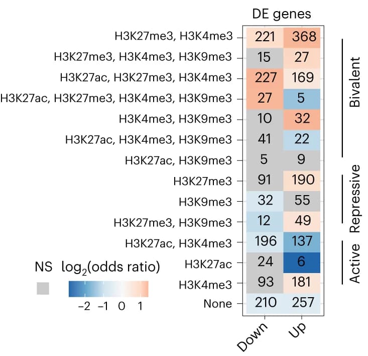 Open access visualization of Heatmap, Chromatin States, Transcription Start Sites, Upregulated Genes, Downregulated Genes