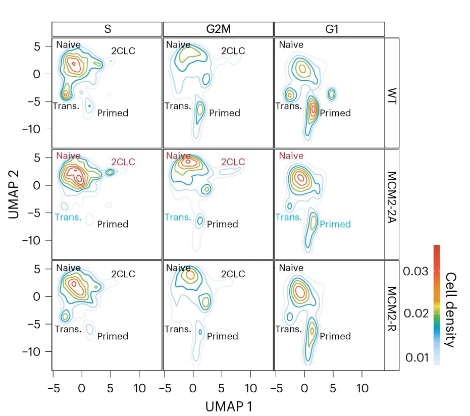 Open access visualization of Density Plot, Scatter Plot, UMAP, Cell Cycle, Single Cells