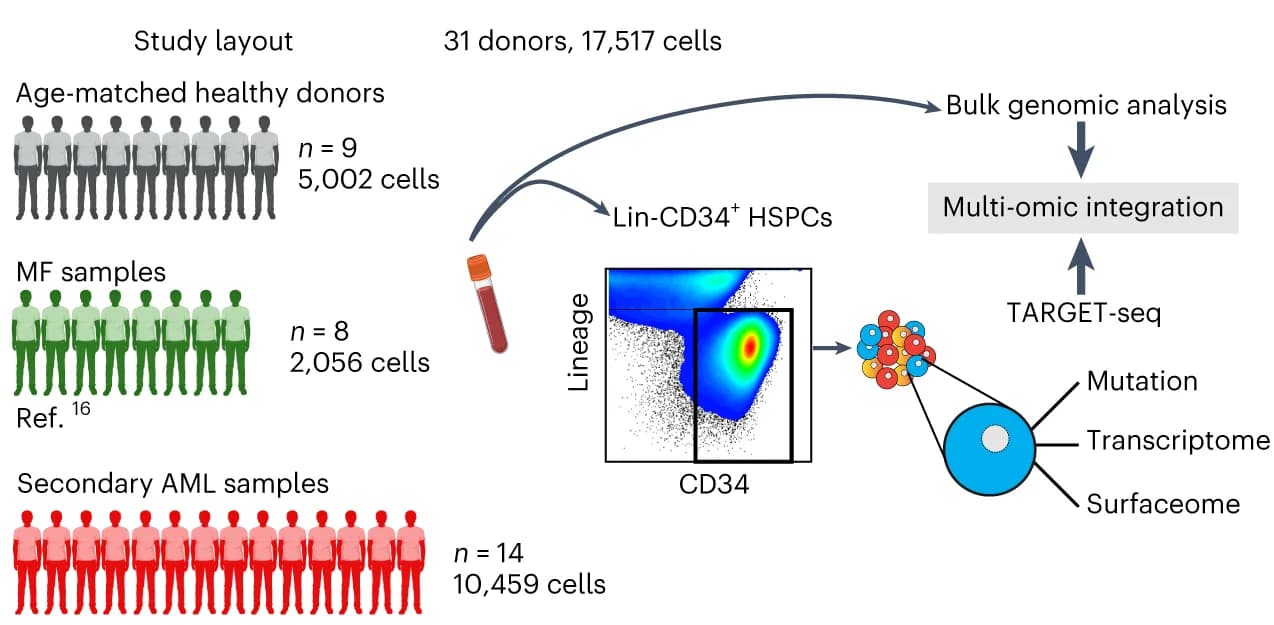 Open access visualization of Workflow, Scatter Plot, TARGET-seq, Lin-CD34+ HSPCs, Donors
