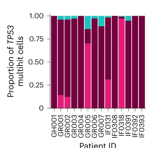 Open access visualization of Stacked Bar Plot, TP53 multihit cells, Clonal CNAs, Subclonal CNAs, Transcriptomic-based CNA clustering