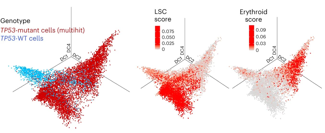 Open access visualization of Scatter Plot, 3D Plot, 3D Diffusion Map, Lin-CD34+ Cells, sAML Samples