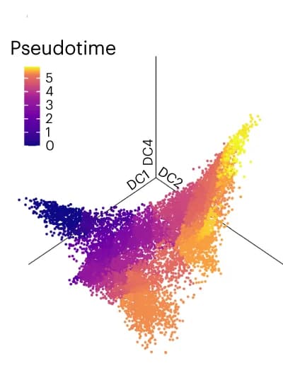 Open access visualization of 3D Plot, Monocle3, Pseudotime Ordering, Single Cells