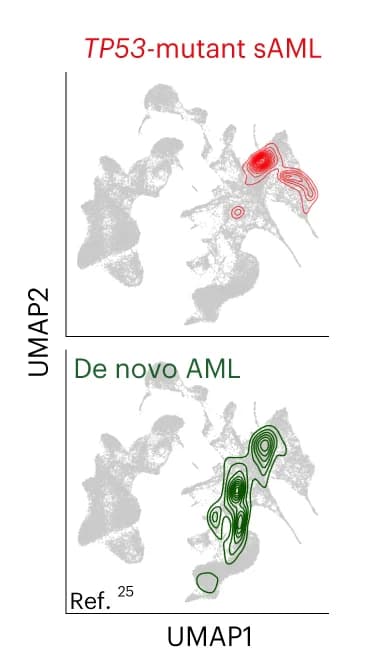 Open access visualization of UMAP, Scatter Plot, Density Plot, Latent Semantic Index, TP53 Multihit Cells