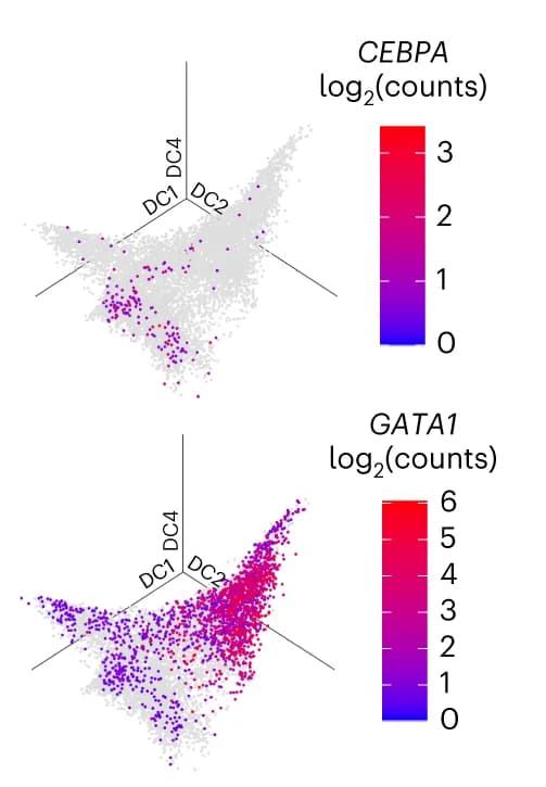 Open access visualization of 3D Plot, CEBPA Expression, GATA1 Expression, Single Cells