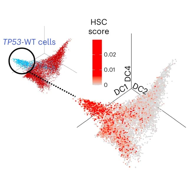 Open access visualization of 3D Plot, 3D Diffusion Map, Lin- CD34+ Cells, TP53-sAML Patients, HSC Signature