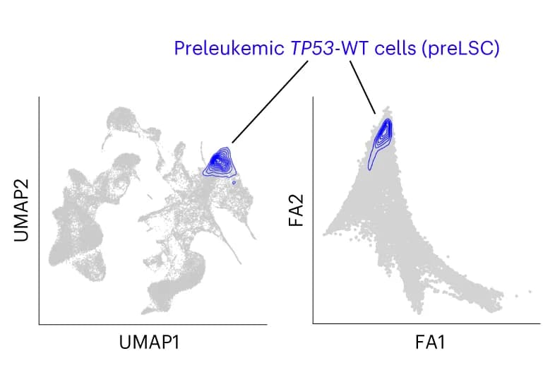 Open access visualization of Scatter Plot, UMAP, Density Plot, TP53-WT, Pre-LSCs