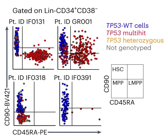 Open access visualization of Scatter Plot, Immunophenotype, Lin- CD34+ CD38- Cells, sAML Patients, Genotype