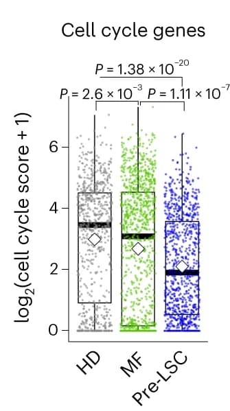 Open access visualization of Box Plot, Scatter Plot, HSC Score, WNT beta-catenin Signaling, Cell-Cycle