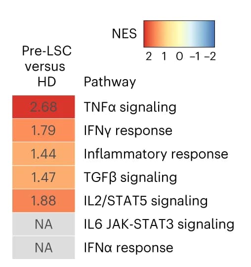 Open access visualization of Heatmap, GSEA Analysis, HALLMARK Inflammatory Pathways, Pre-LSCs, HDs