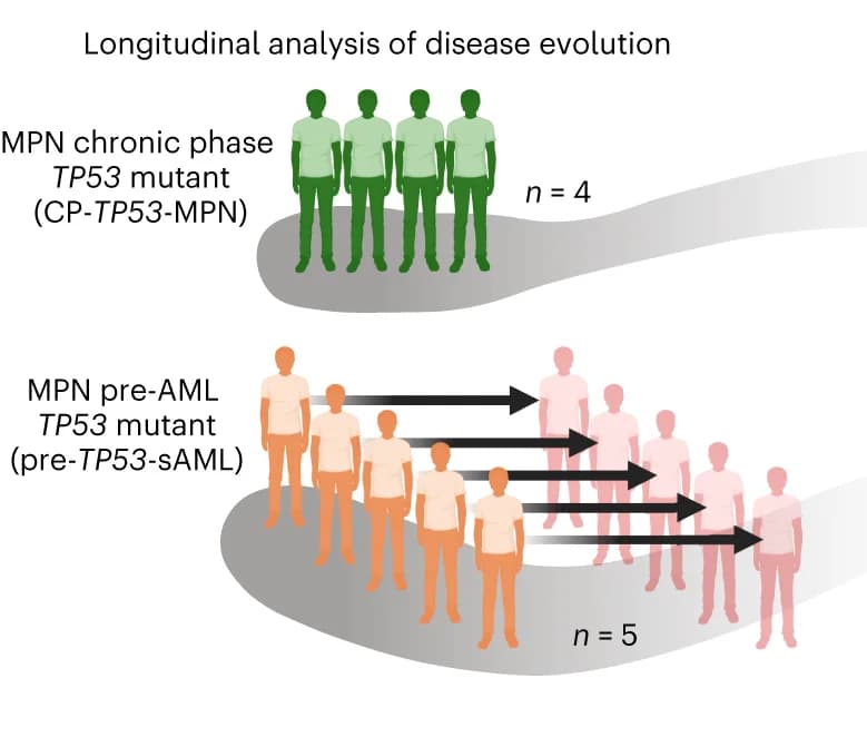 Open access visualization of Illustration, Workflow, Study Layout, Patient Cohort, TARGET-seq Analysis