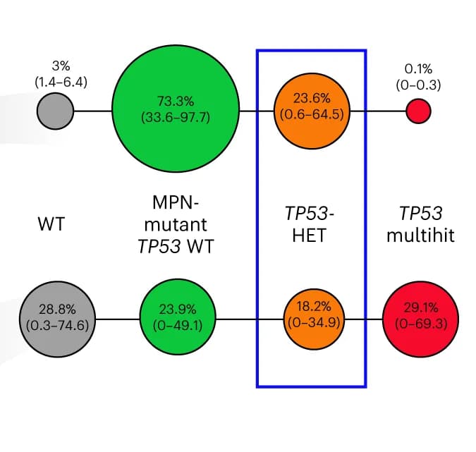Open access visualization of Pathway, Clonal Evolution, TP53-mutant, Patient Samples, Heterozygous Cells