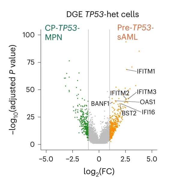 Open access visualization of Volcano Plot, Scatter Plot, Differentially Expressed Genes, TP53-mutant, Heterozygous Cells