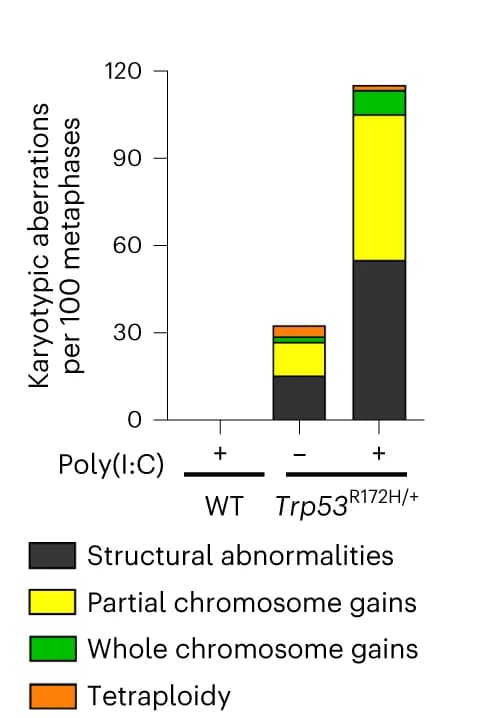 Open access visualization of Stacked Bar Plot, Karyotypic Aberrations, LSK Cells, M-FISH, Control Mice
