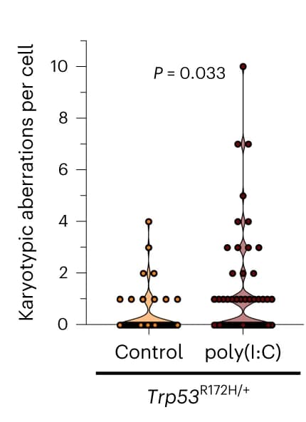 Open access visualization of Violin Plot, Box Plot, Scatter Plot, Karyotypic Aberrations, LSK Cells