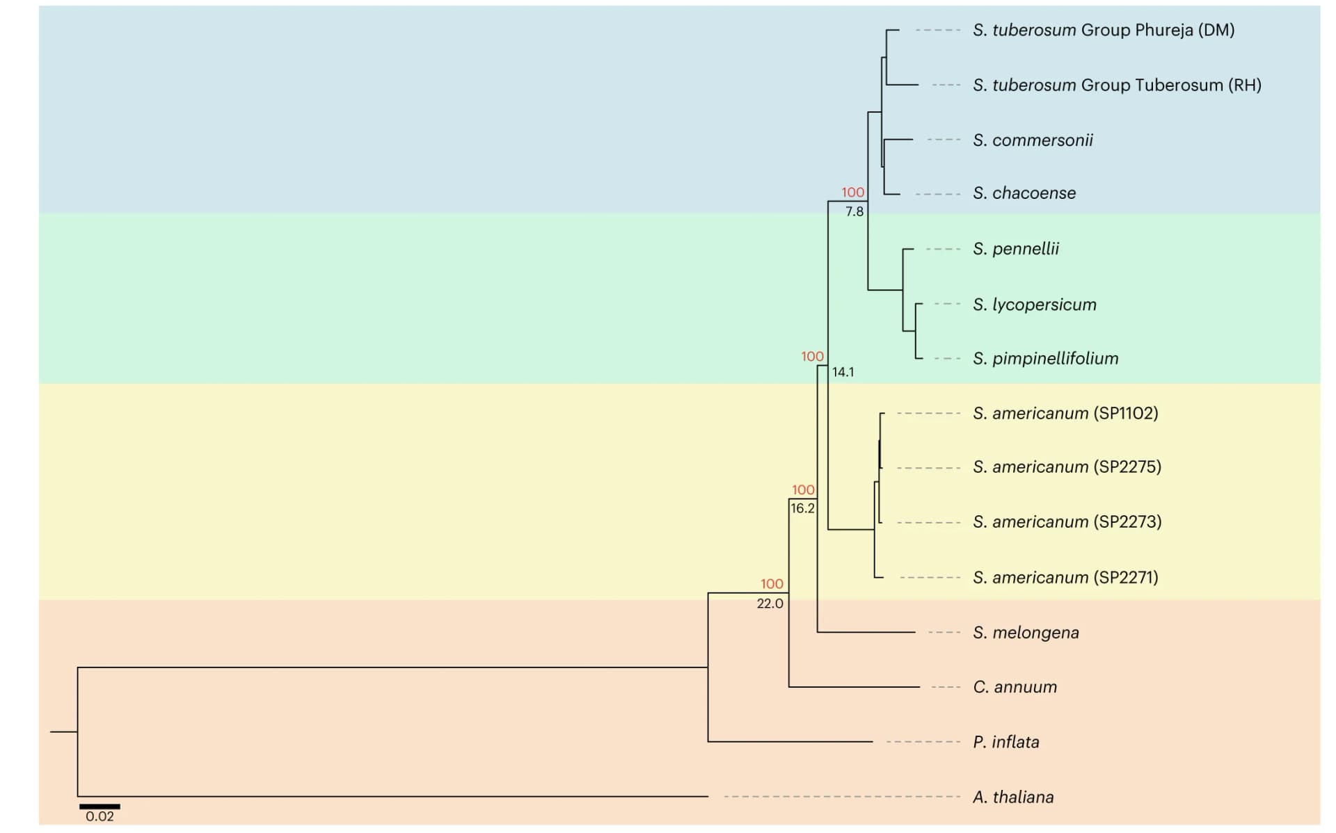 Open access visualization of Network, Pathway, Phylogenetic Relationship, Bootstrap, Divergence Time