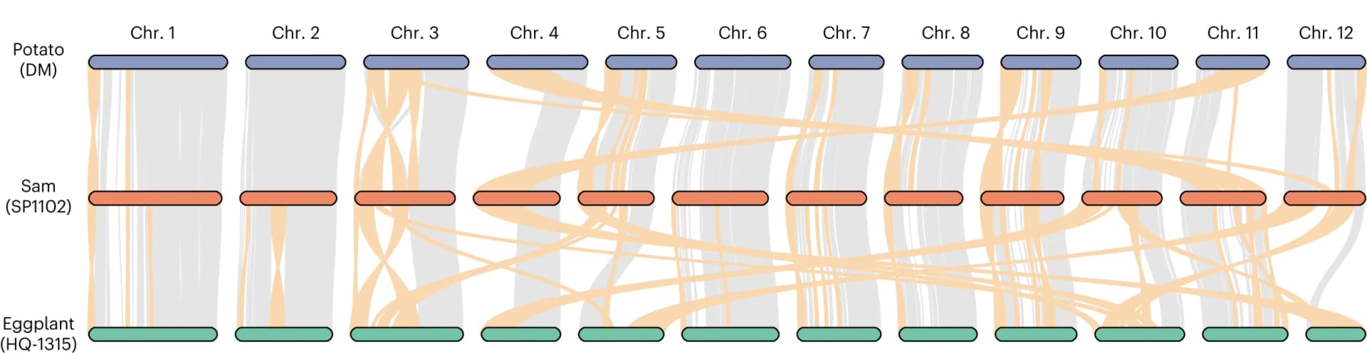 Open access visualization of Sankey, Chord, Genome Synteny, Chromosomes, Syntenic Regions