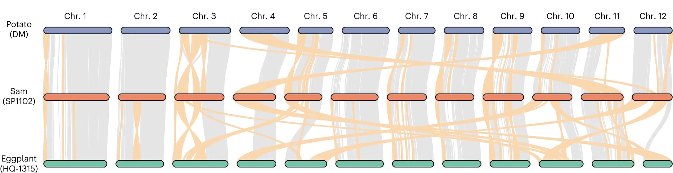 Flow Visualization Excellence: Sankey Diagrams in Systems Biology and Network Analysis