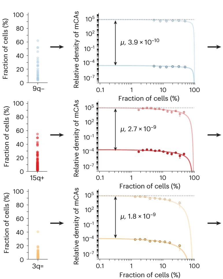Open access visualization of Scatter Plot, Line Plot, mCA, Fitness Effects, Mutation Rates