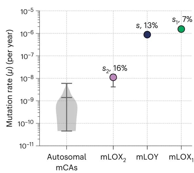Open access visualization of Scatter Plot, Violin Plot, Error Bars, Mutation Rates, Autosomal mCAs
