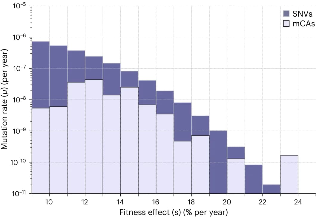 Open access visualization of Stacked Bar Plot, Histogram, Mutation rate, Autosomal mCAs, SNVs