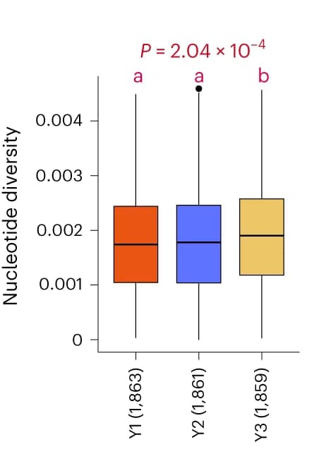 Open access visualization of Box Plot, Nucleotide Diversity, LSD Method, Bonferroni Correction, Hybrids