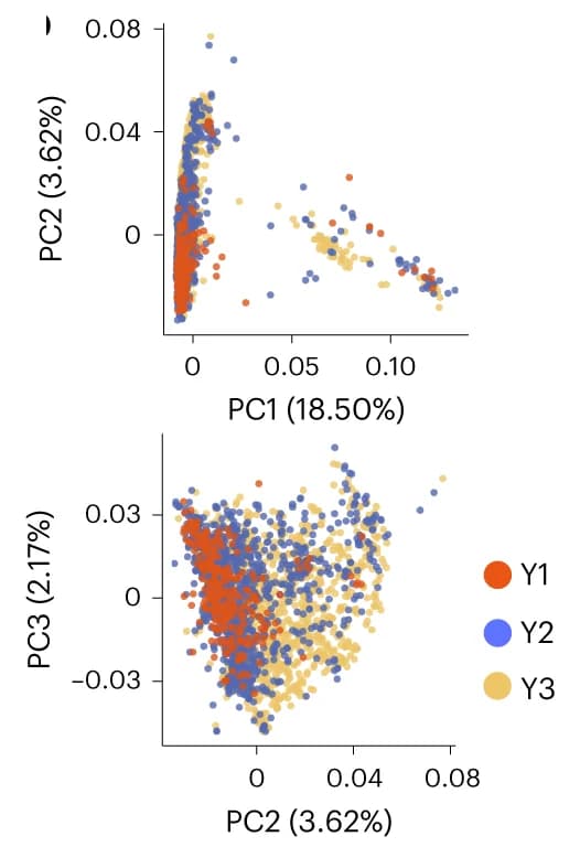 Open access visualization of Scatter Plot, PCA, PCA Plots, Principal Components, Hybrids