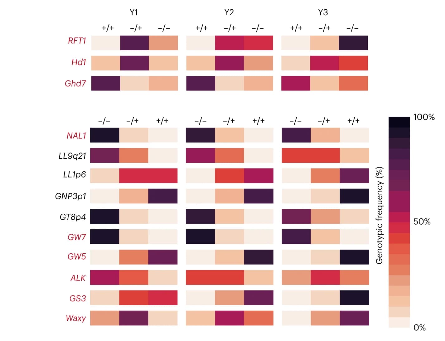 Open access visualization of Heatmap, Allelic frequency change, Indica-indica rice hybrids, Breeding-favorable alleles, Heading date