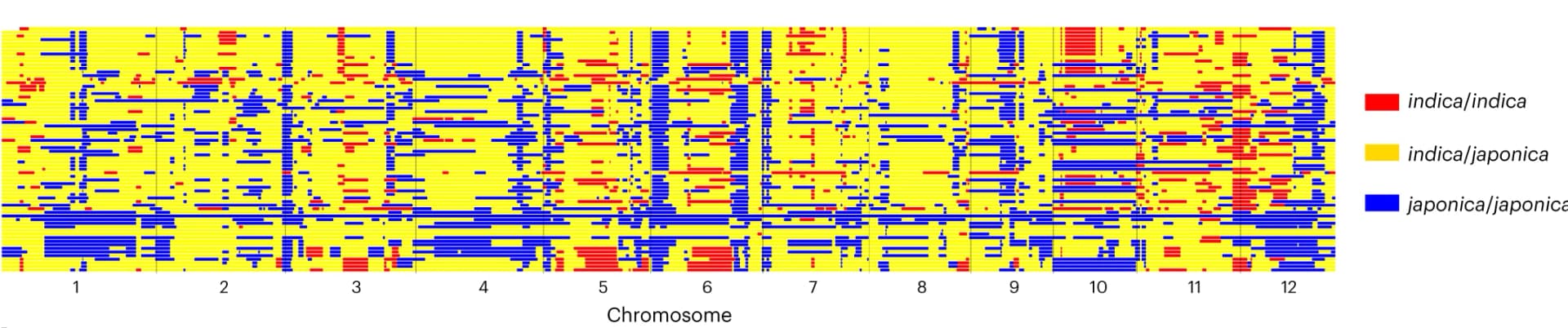 Open access visualization of Heatmap, Genome, Hybrids, Genomic sequence, Indica