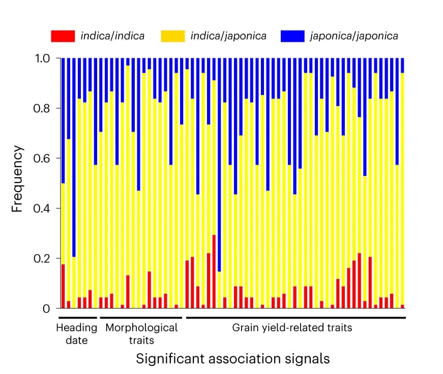 Open access visualization of Stacked Bar Plot, Genomic region, Segments, Association signals, Indica