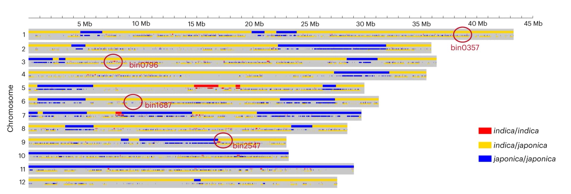 Open access visualization of Manhattan Plot, Genome, Segments, Chromosomes, SNPs