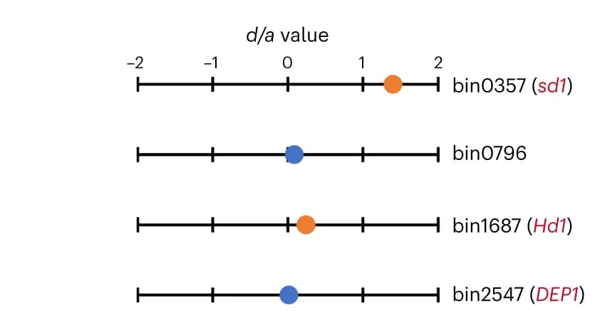 Open access visualization of Scatter Plot, Loci, Genotype, Female lines, Male lines