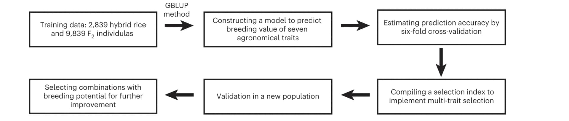 Open access visualization of Workflow, Flowchart, Model construction, Validation
