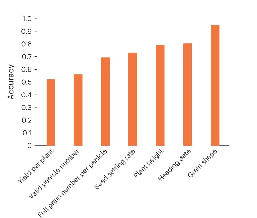 Open access visualization of Bar Plot, Prediction accuracy, Agronomic traits