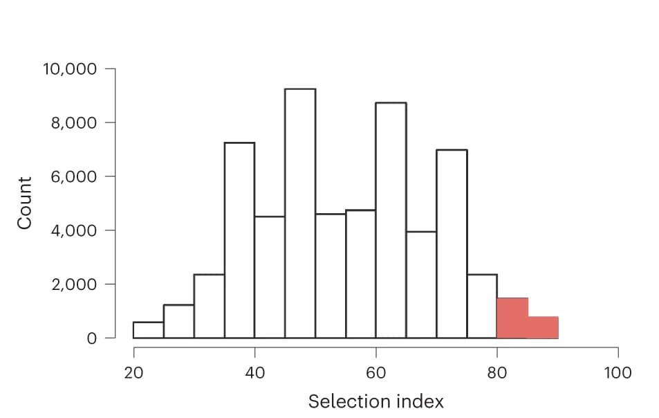 Open access visualization of Histogram, Selection index, Pseudo-combinations