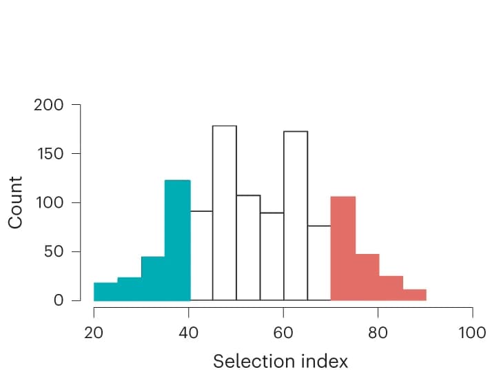 Open access visualization of Histogram, Selection index, Pseudo-combinations, Validation population