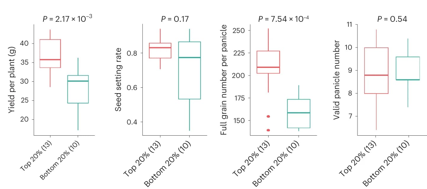 Open access visualization of Box Plot, Yield-related traits, High-scoring combinations, Low-scoring combinations, Validation population