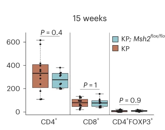 Open access visualization of Box Plot, Scatter Plot, CNN Quantification, IHC Staining, Lung Tumors