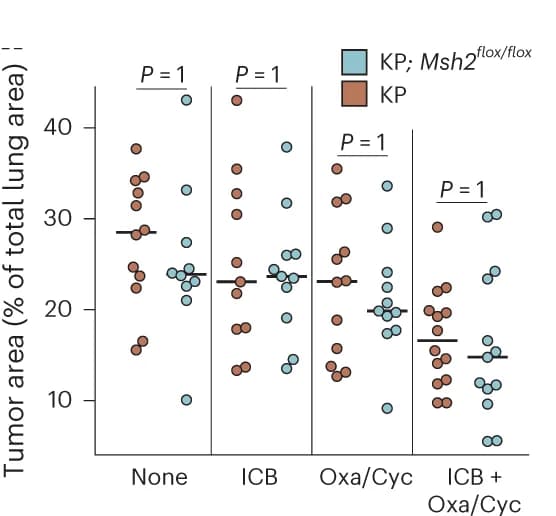 Open access visualization of Scatter Plot, Lung Tumor Burden, Necropsy, H&E Staining, Lung Sections