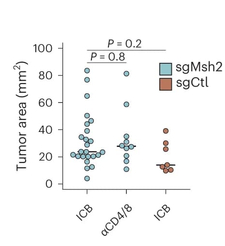 Open access visualization of Scatter Plot, Colon Tumor Burden, Necropsy, Stereomicroscopy, sgMsh2
