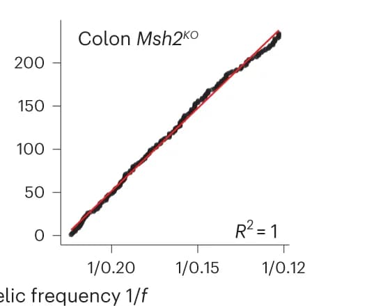 Open access visualization of Scatter Plot, Regression Plot, Cumulative Distribution Function, Subclonal Mutation Evolution, Msh2 KO