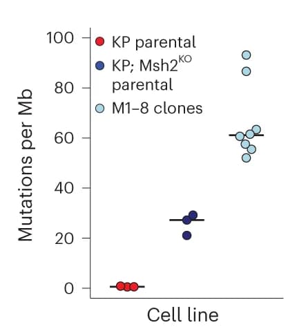 Open access visualization of Scatter Plot, Mutations, Lung Tumors, Cell Lines, Clones