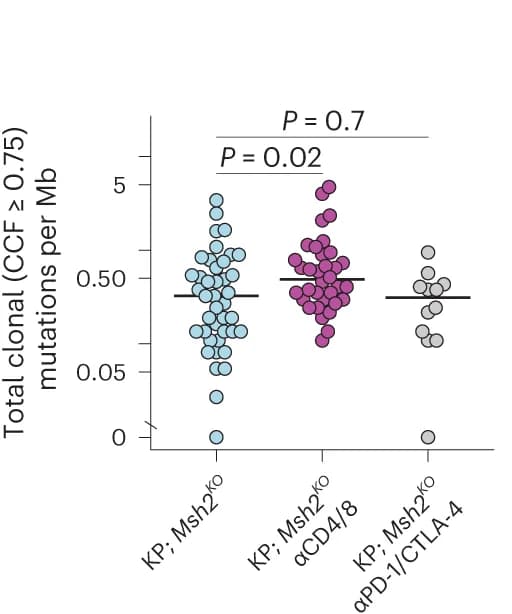 Open access visualization of Scatter Plot, Clonal Mutations, CCF, Msh2 KO, Lung Tumors