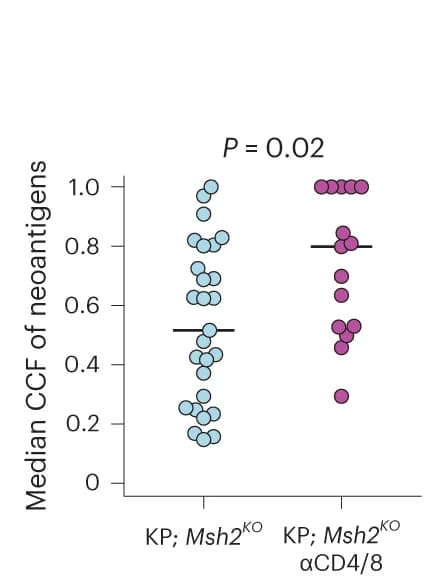 Open access visualization of Scatter Plot, Neoantigens, Lung Tumors, Wilcoxon’s Rank-Sum Test, SNV-Derived Neoantigens