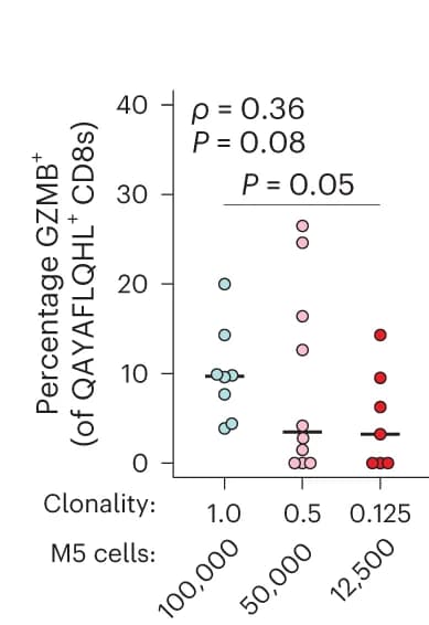 Open access visualization of Scatter Plot, CD8+ T Cells, GZMB+, mLNs