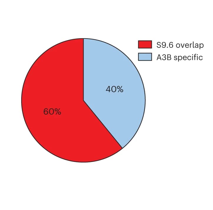 Open access visualization of Pie Chart, Proteins, A3B, S9.6, AP-MS