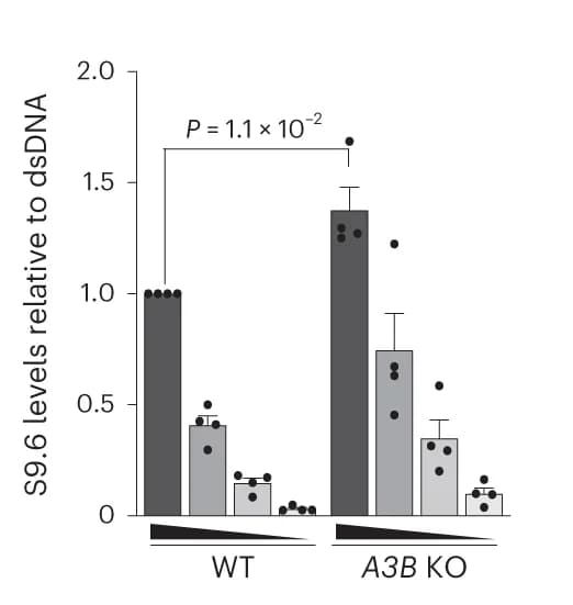 Open access visualization of Bar Plot, Error Bars, Quantification, WT Signal, t-test