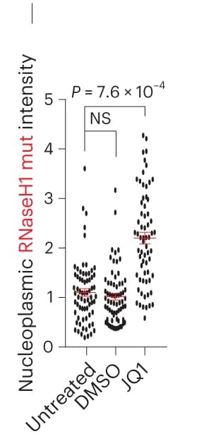 Open access visualization of Scatter Plot, Error Bars, Quantification, U2OS Cells, mCherry-RNaseH1 Mutant