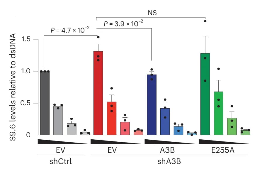 Open access visualization of Bar Plot, Error Bars, Quantification, shCtrl